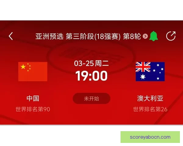 聚焦美加墨世界杯投注趋势解析与球迷理性参与及风险识别指南